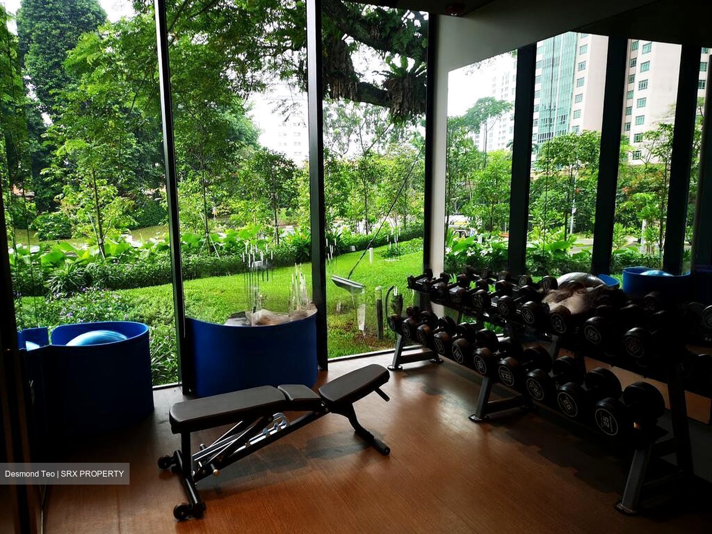 Irwell Hill Residences (D9), Apartment #455649481
